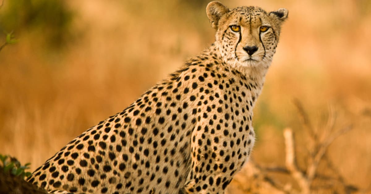 Sure Mirage Travel Umrah Packages